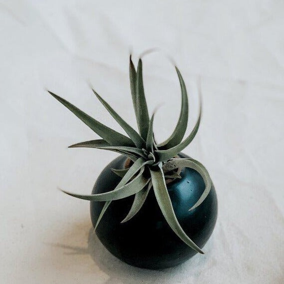 Ceramic Bud Vase | Black