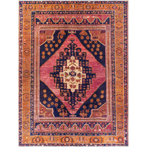 Amelie Rug - AML2347 - Rose/Blue
