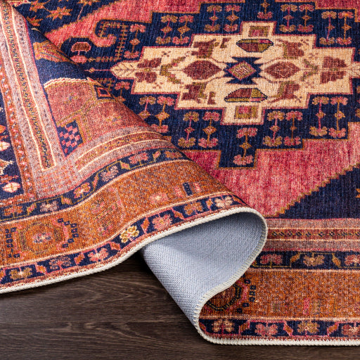 Amelie Rug - AML2347 - Rose/Blue