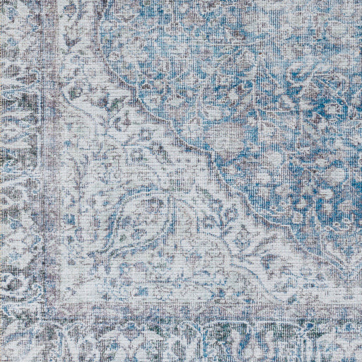 Amelie Rug - AML2364 - Blue