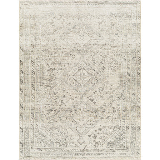 Amelie Rug - AML2379 - Ivory/Gray