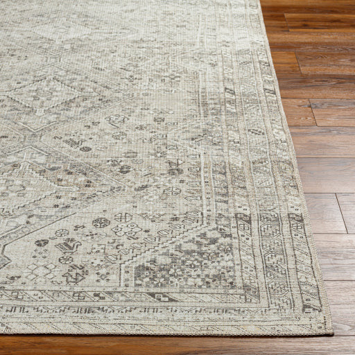 Amelie Rug - AML2379 - Ivory/Gray