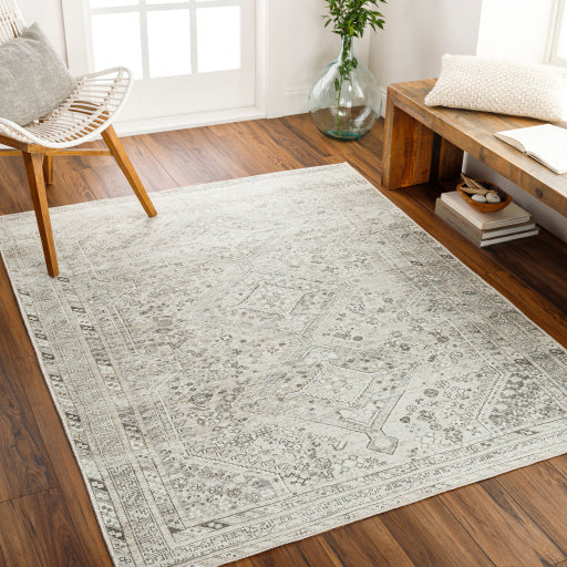 Amelie Rug - AML2379 - Ivory/Gray