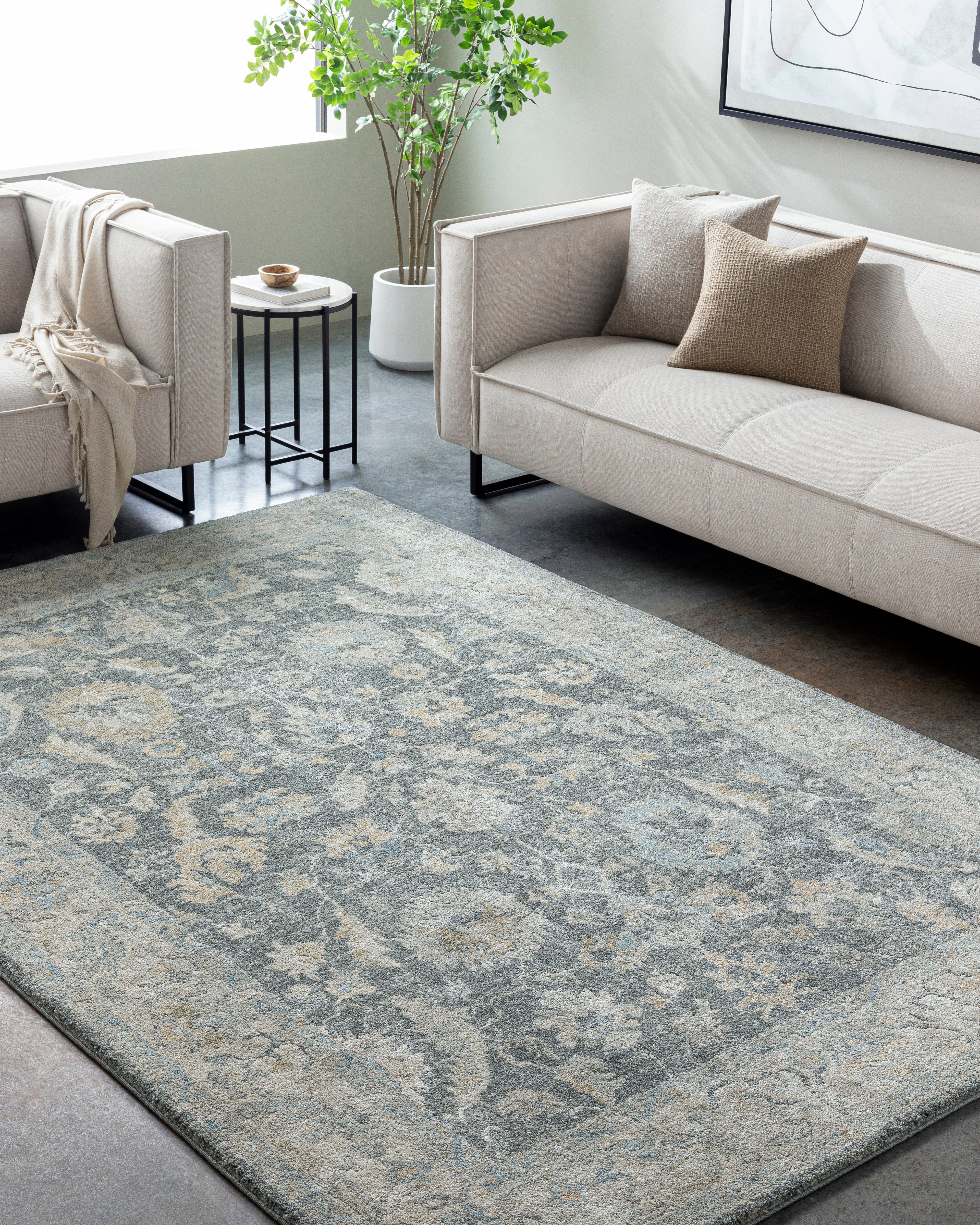 Avellino AVL-2305 Rug-  Beige, Blue