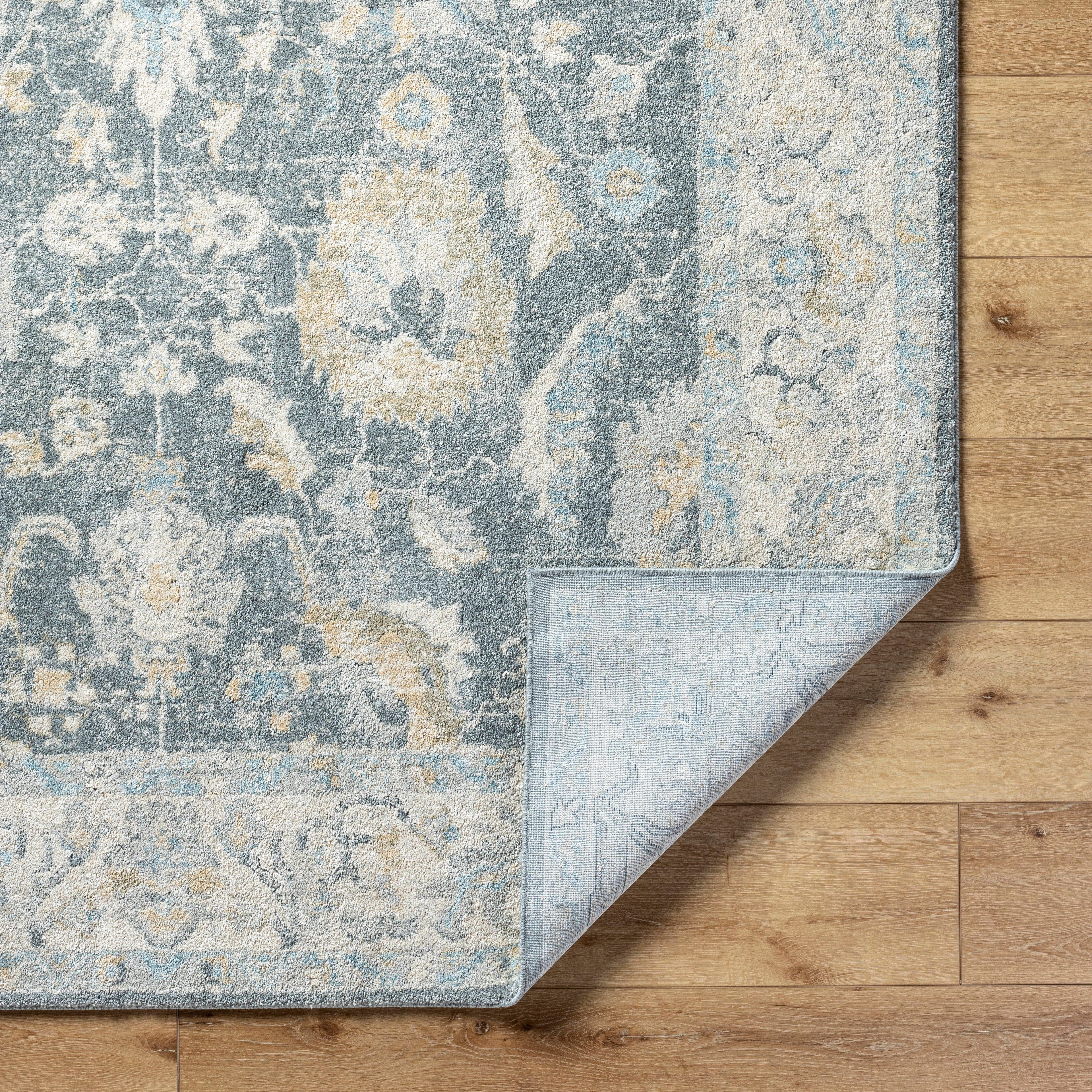 Avellino AVL-2305 Rug-  Beige, Blue