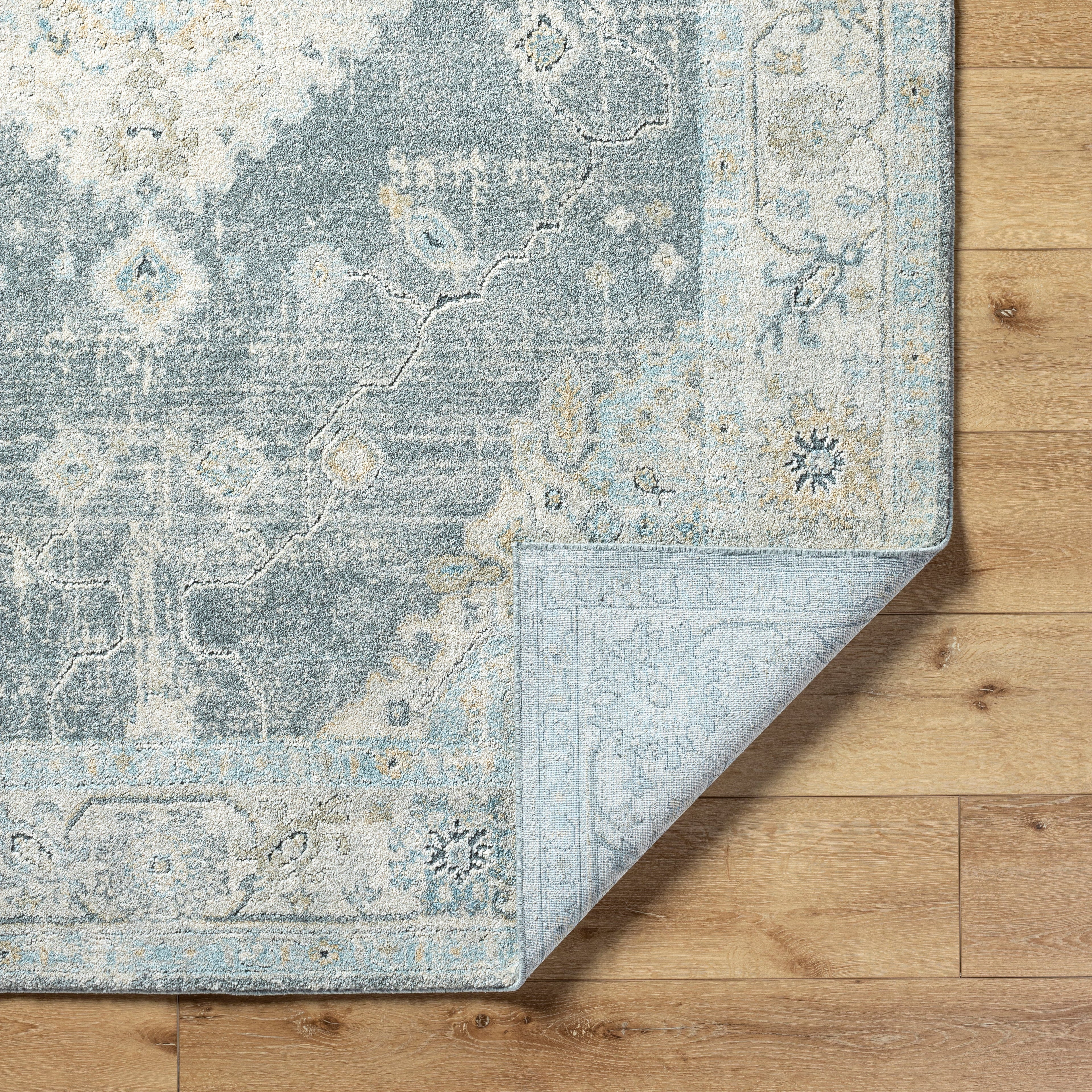 Avellino AVL-2315 Rug-  Beige, Blue, Gray