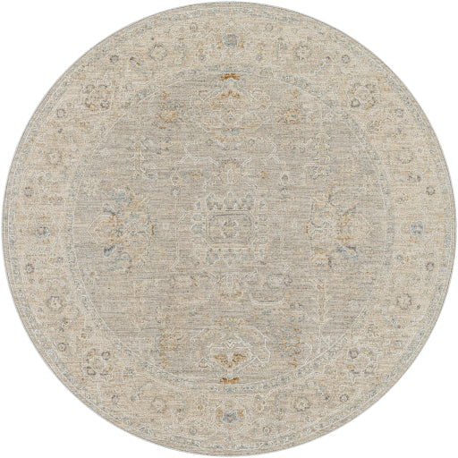 Avant Garde Rug - AVT2304 - Gray/Beige/Denim