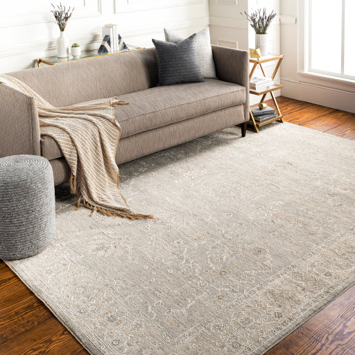 Avant Garde Rug - AVT2304 - Gray/Beige/Denim