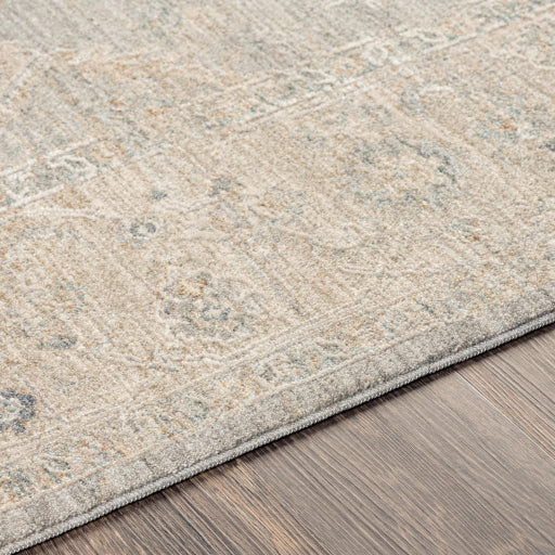 Avant Garde Rug - AVT2304 - Gray/Beige/Denim