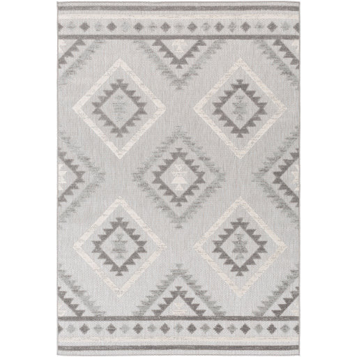 Big Sur Rug - BSR2313 - Gray/Cream