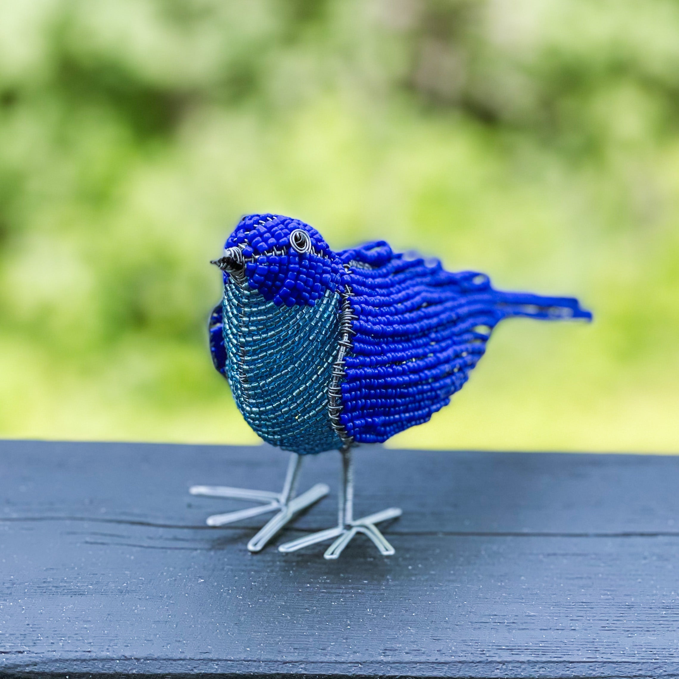 Beaded Bluebird